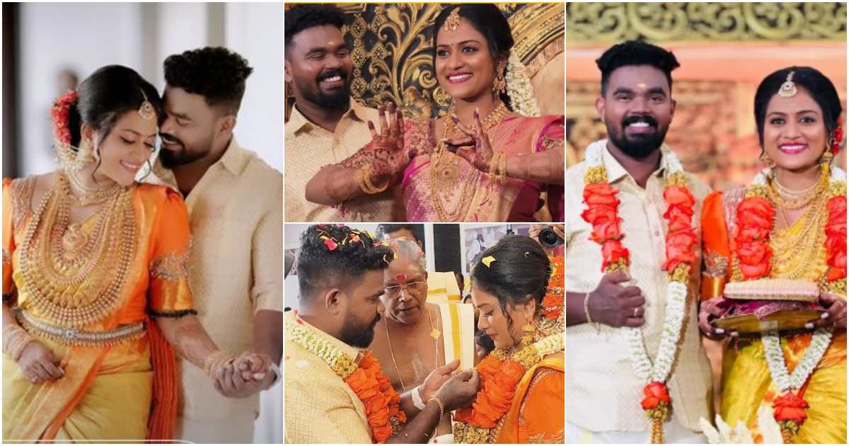 Serial Actress Arya Anil Marriage Video