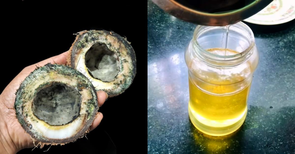 Home Made Coconut Oil In Cooker