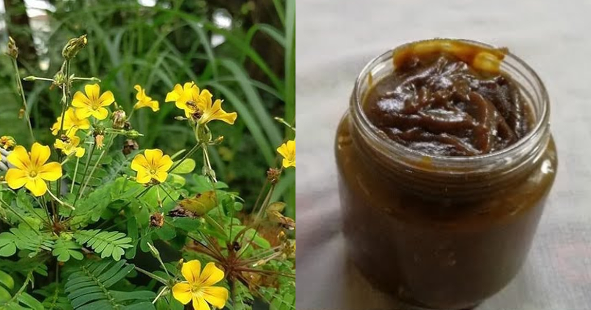 True Benefits Of Mukkutti Lehyam
