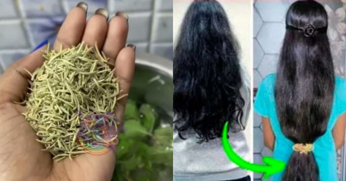 Natural Hair Oil Using Rosemary
