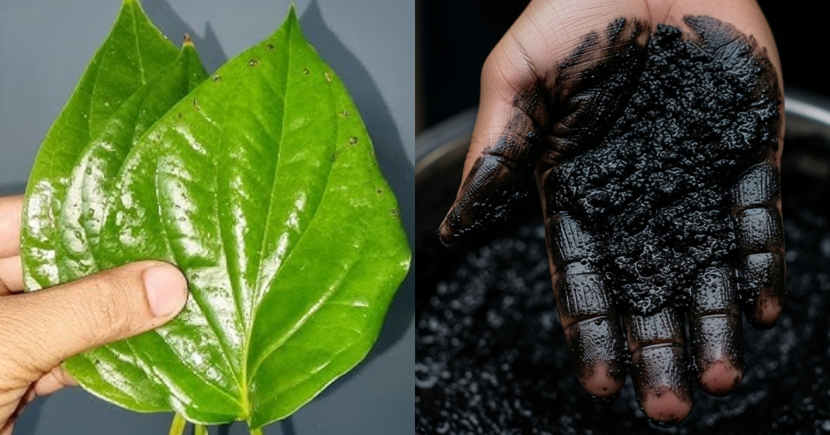 Hair Dye Using Betel Leaf