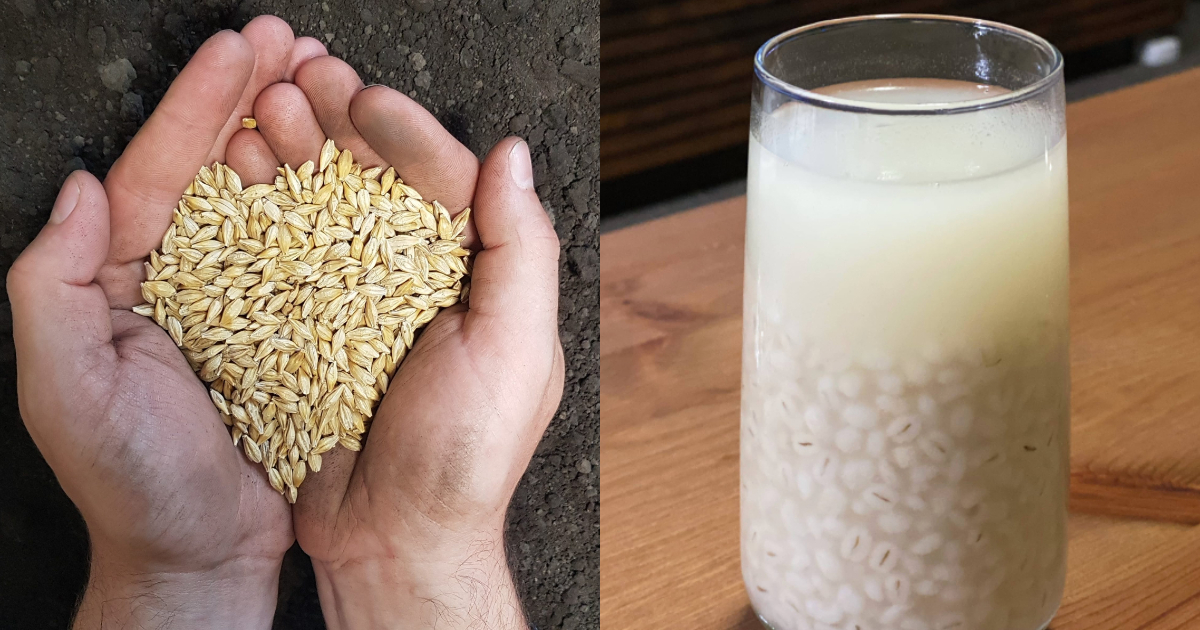 Barley Water For Weight Loss