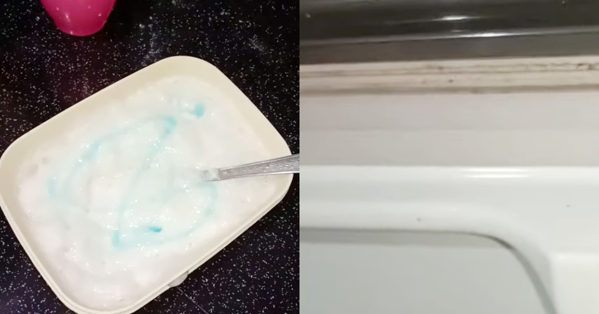 Tips To Clean Fridge Door