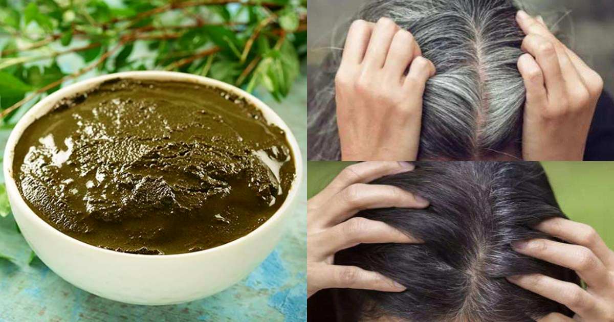 Natural Hair Dye With Panikoorka