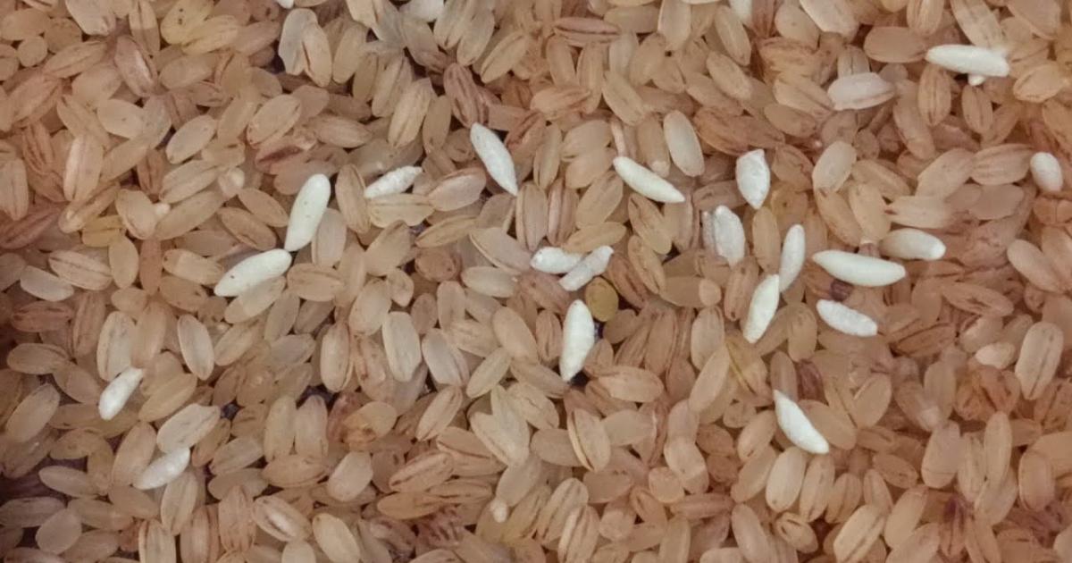 Fortified Rice Benefits in Ration