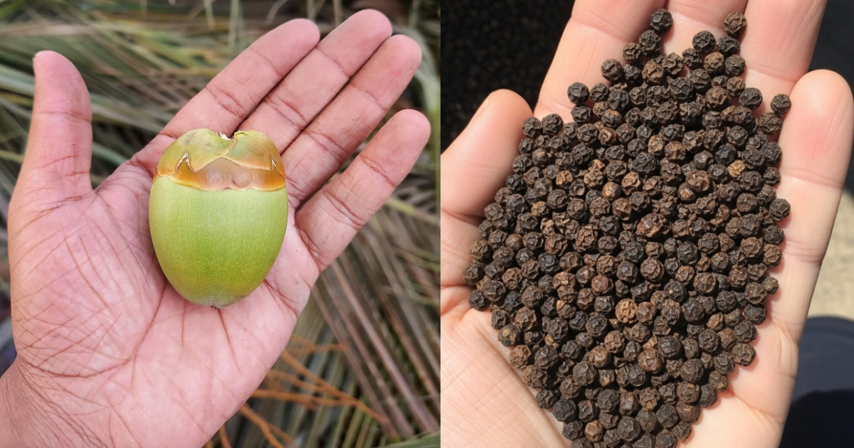 Machinga Useful Kitchen Tips