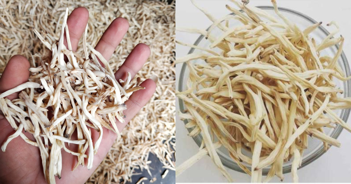 Increase Vitamin D Using Musli