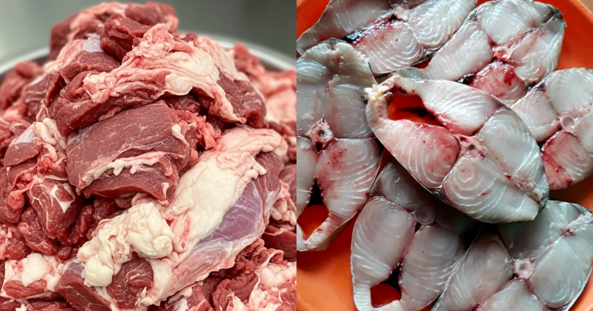 Store Fish and Meat Fresh in Fridge