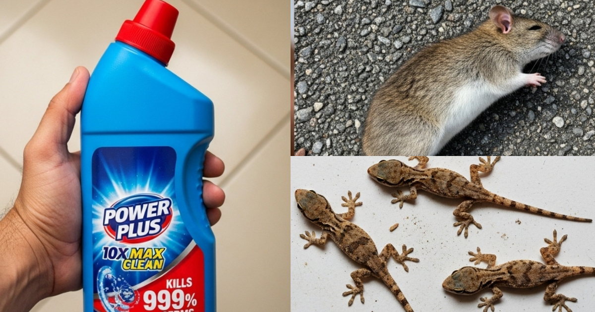 Get Rid of Pests Using Harpick