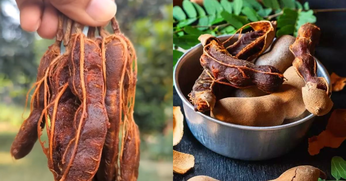 Tamarind Cleaning Easy Tips