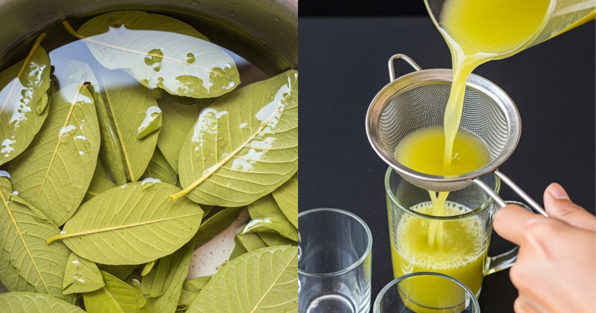 Health Benefits Of Guava leaves