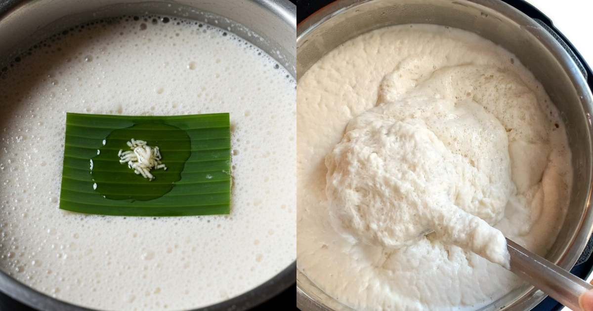 Soft and Fluffy Idli Batter