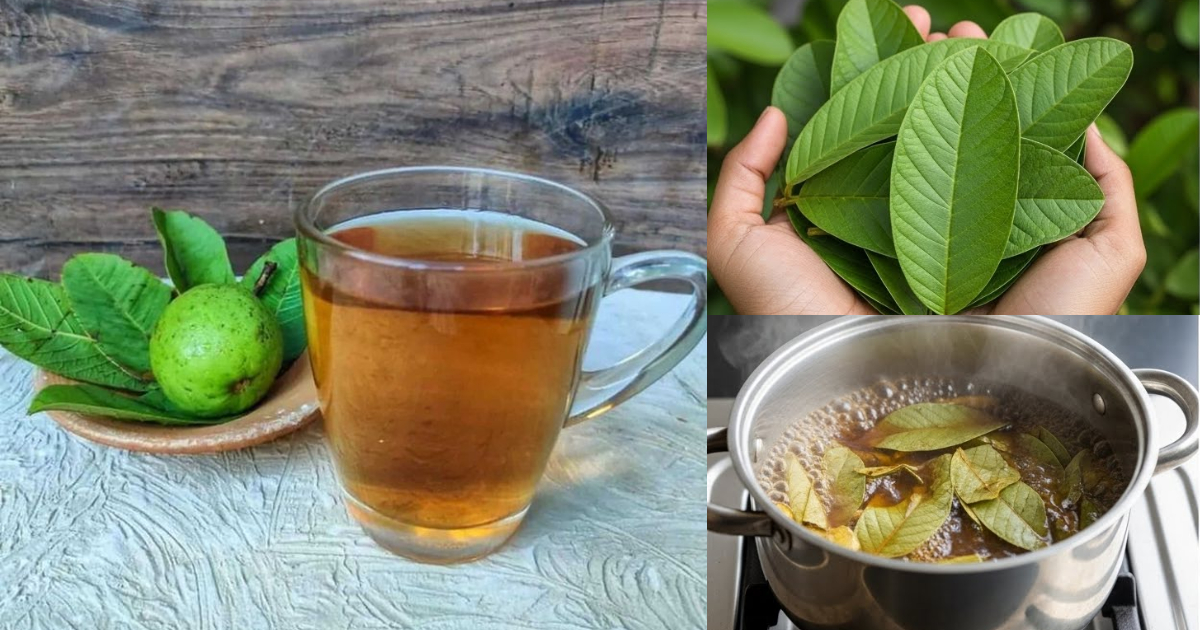 Reduce Fever Using Guava Water