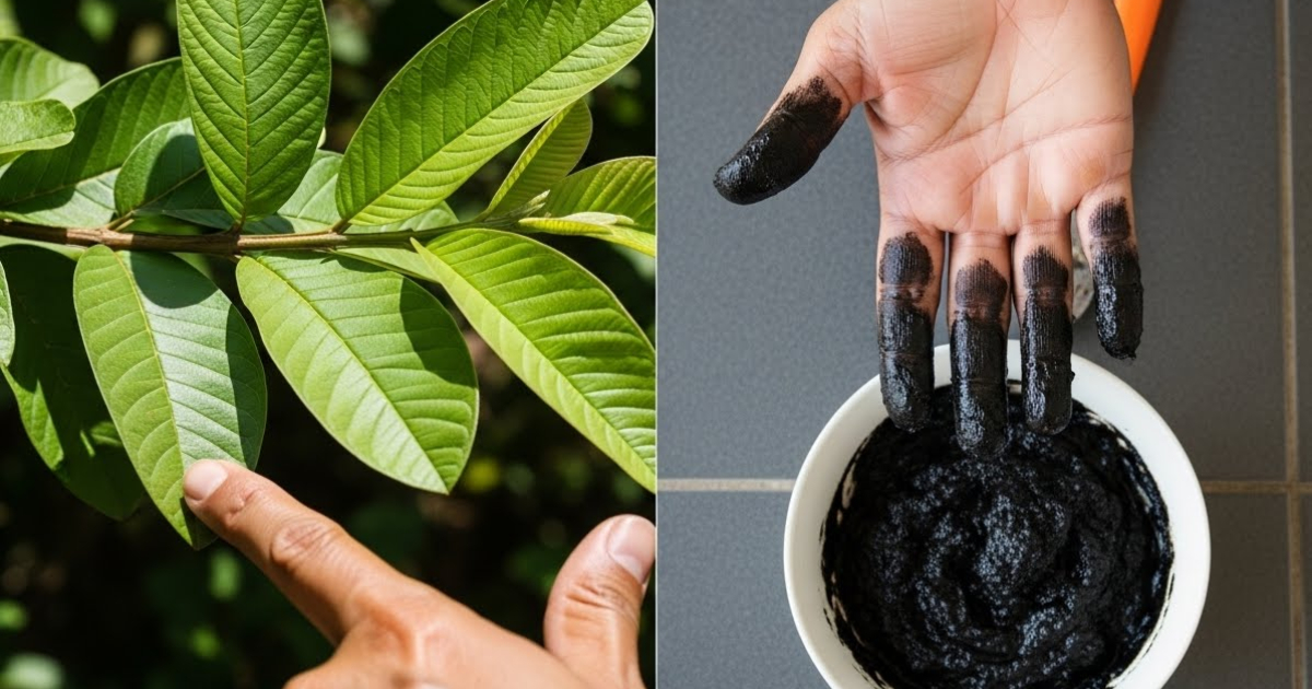 Easy Natural Hair Dye Using Guava Leaves