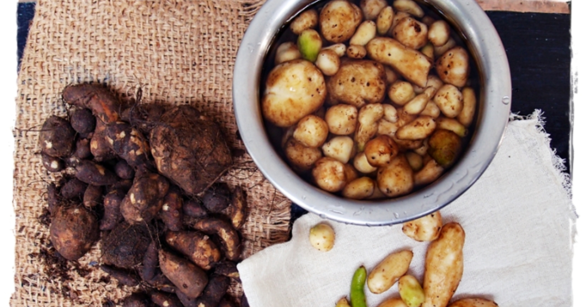 Tips To Clean Koorka