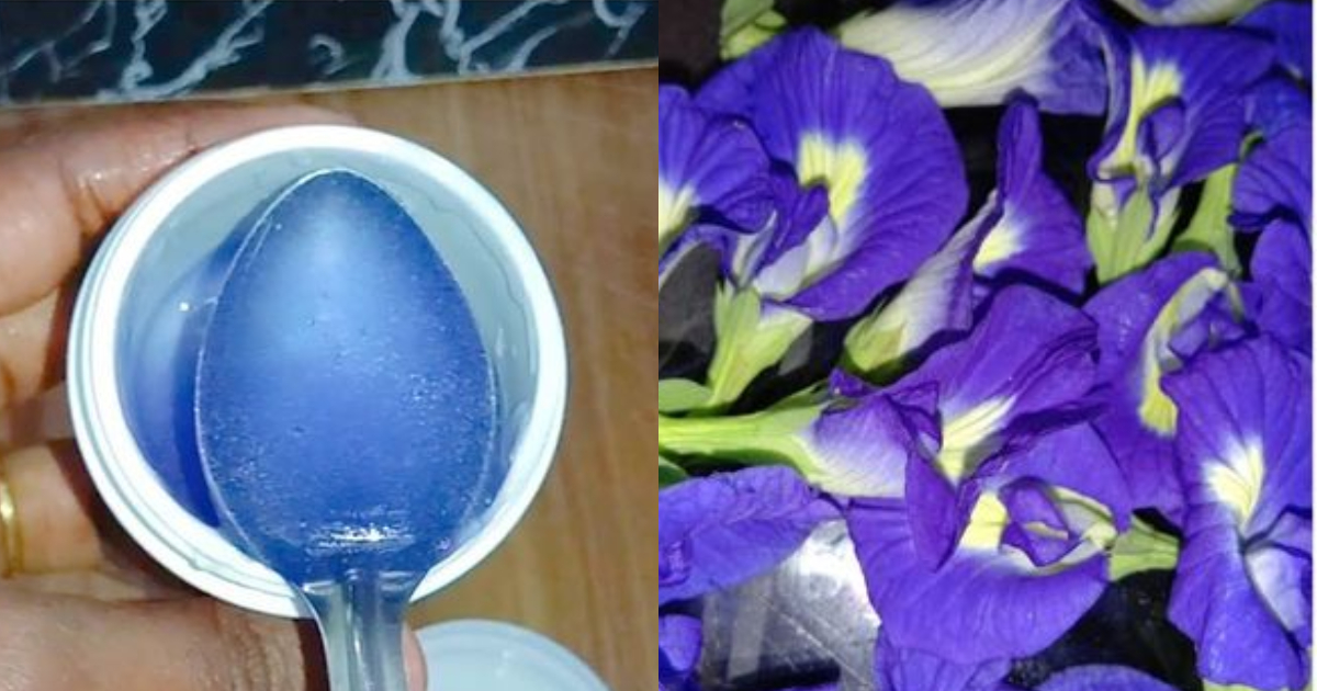 Butterfly Pea Flower Face Gel