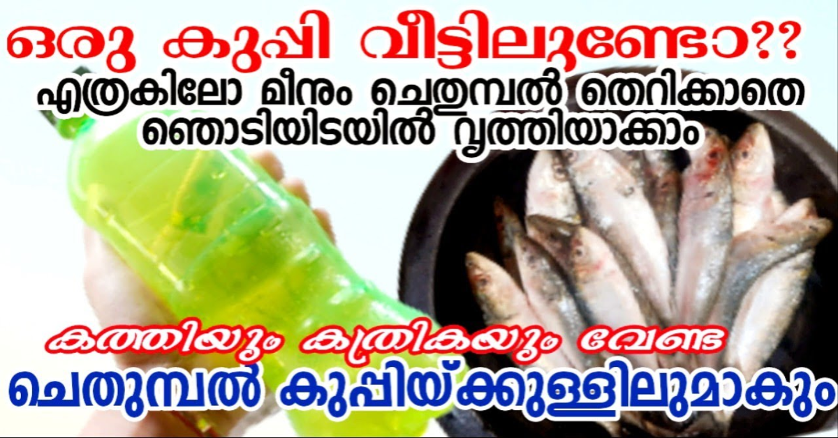 Easy Fish Cleaning With A Bottle