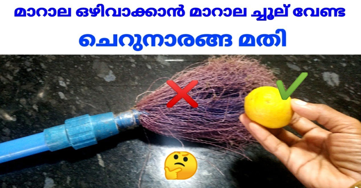 Easy Spider Web Cleaning Trick